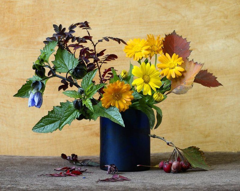 цветы, цвет  фото превью