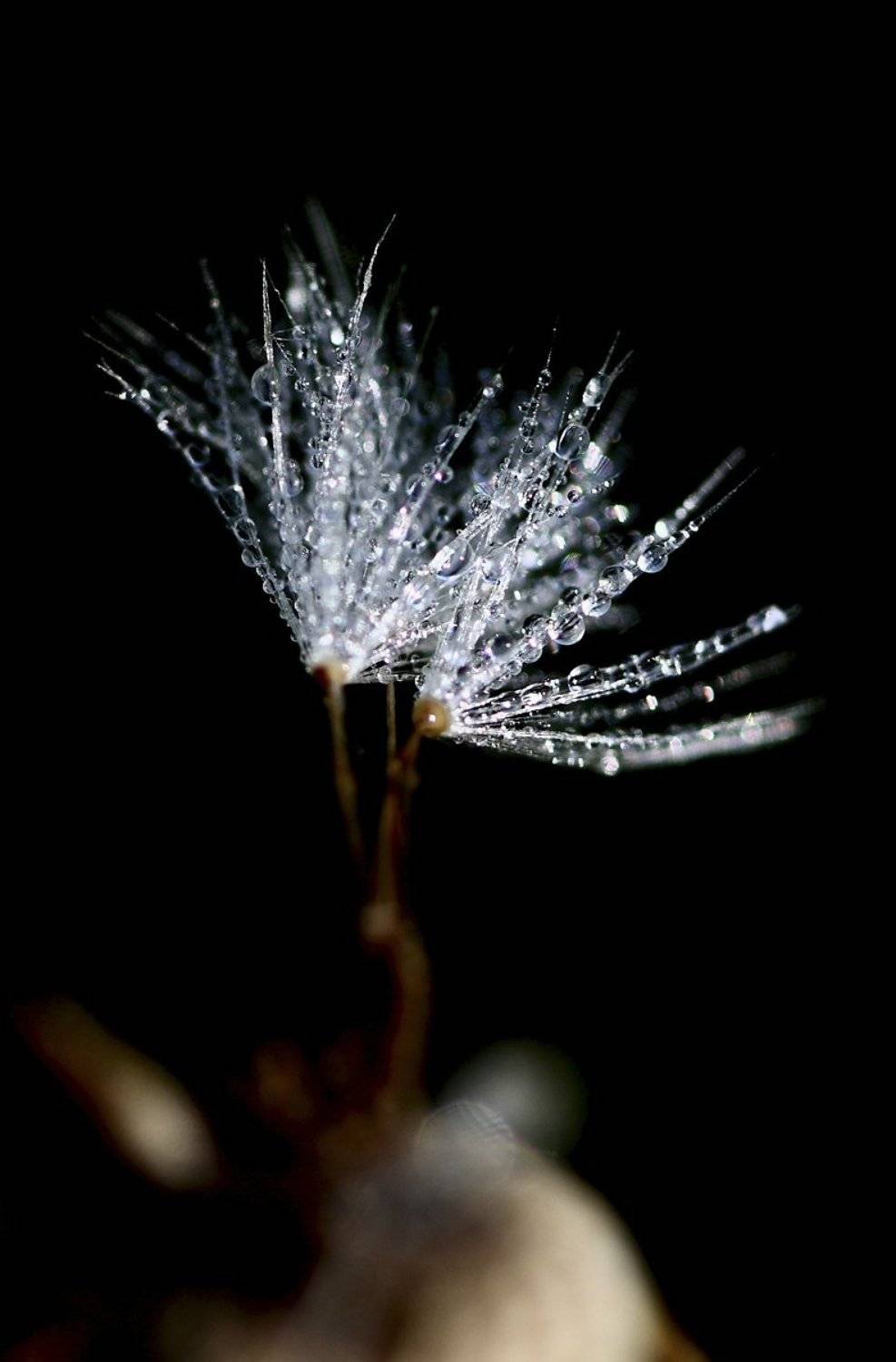 , Юлия Новохатько