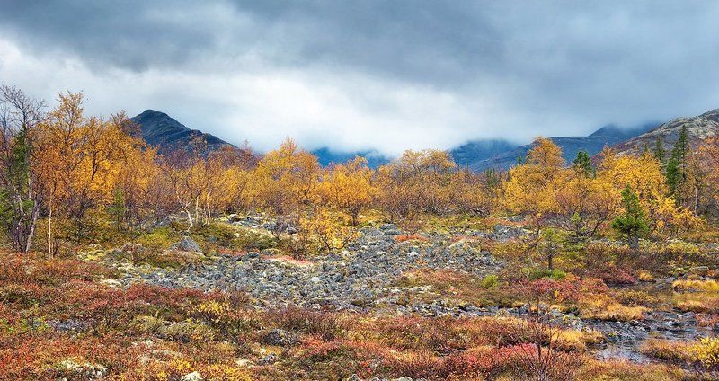 кольский п-ов, хибины Кольская осень фото превью