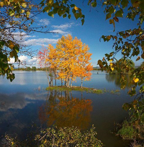 Окно в осень