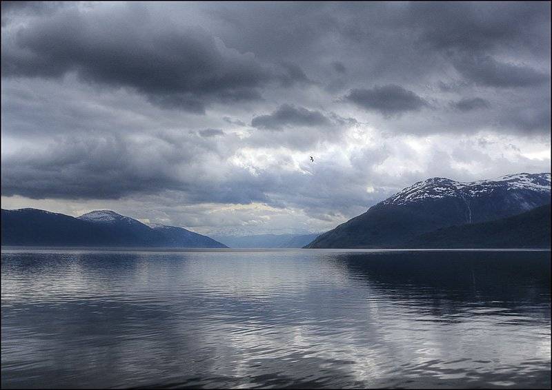 норвегия, согнефьорд, фьорд, Лариса Гурьева