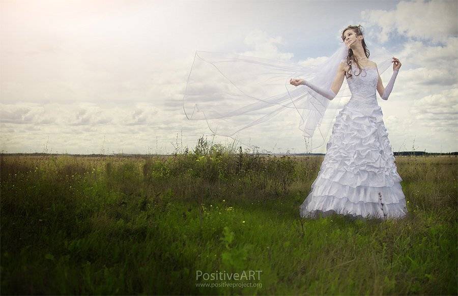 невеста, портрет, небо, поле, цветы, фата, ветер, Мария Мальгина