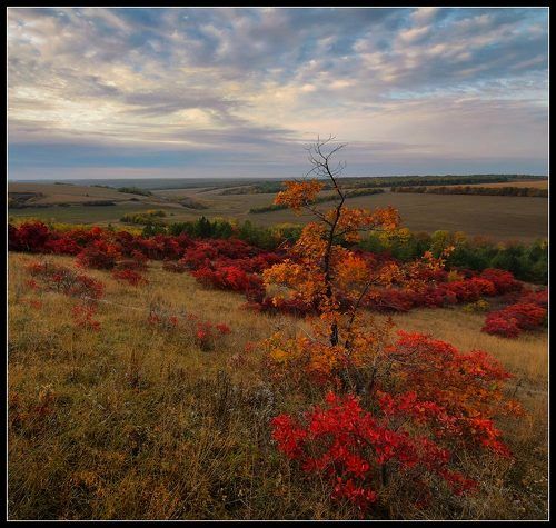 Осень в рассвете