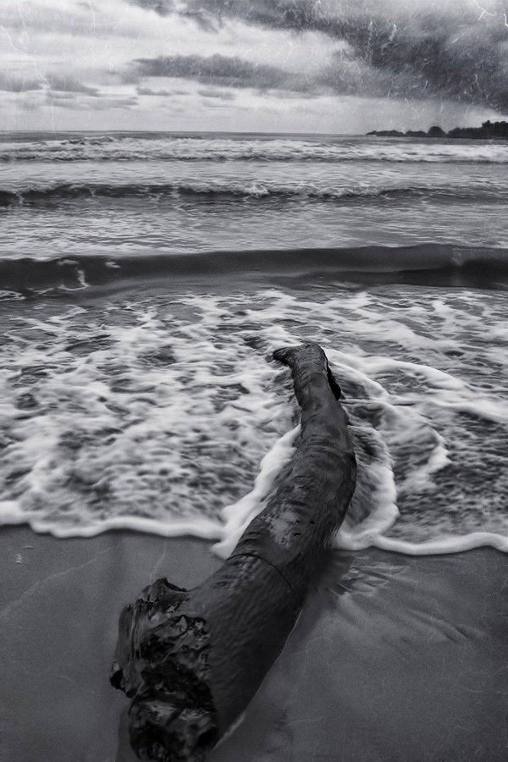 , Артем Кодолов