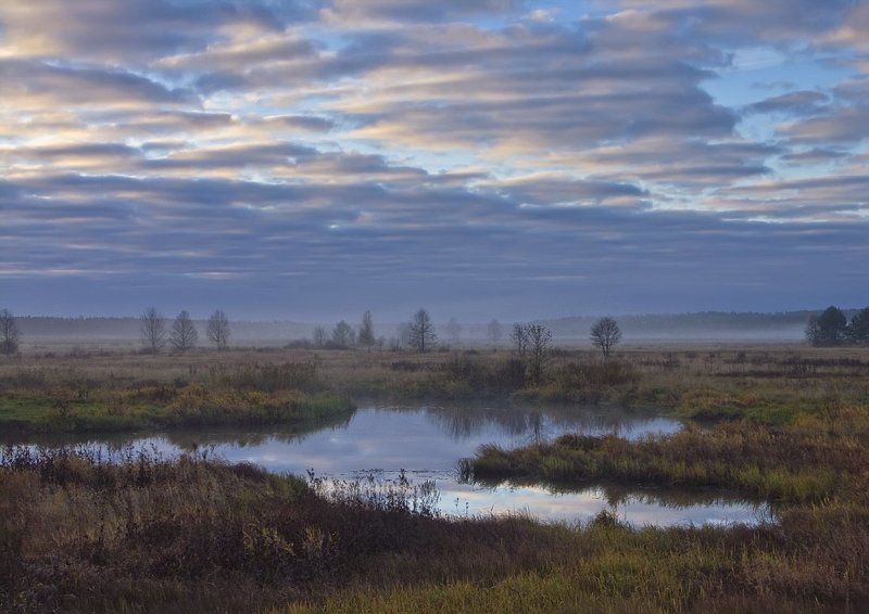 ******** фото превью