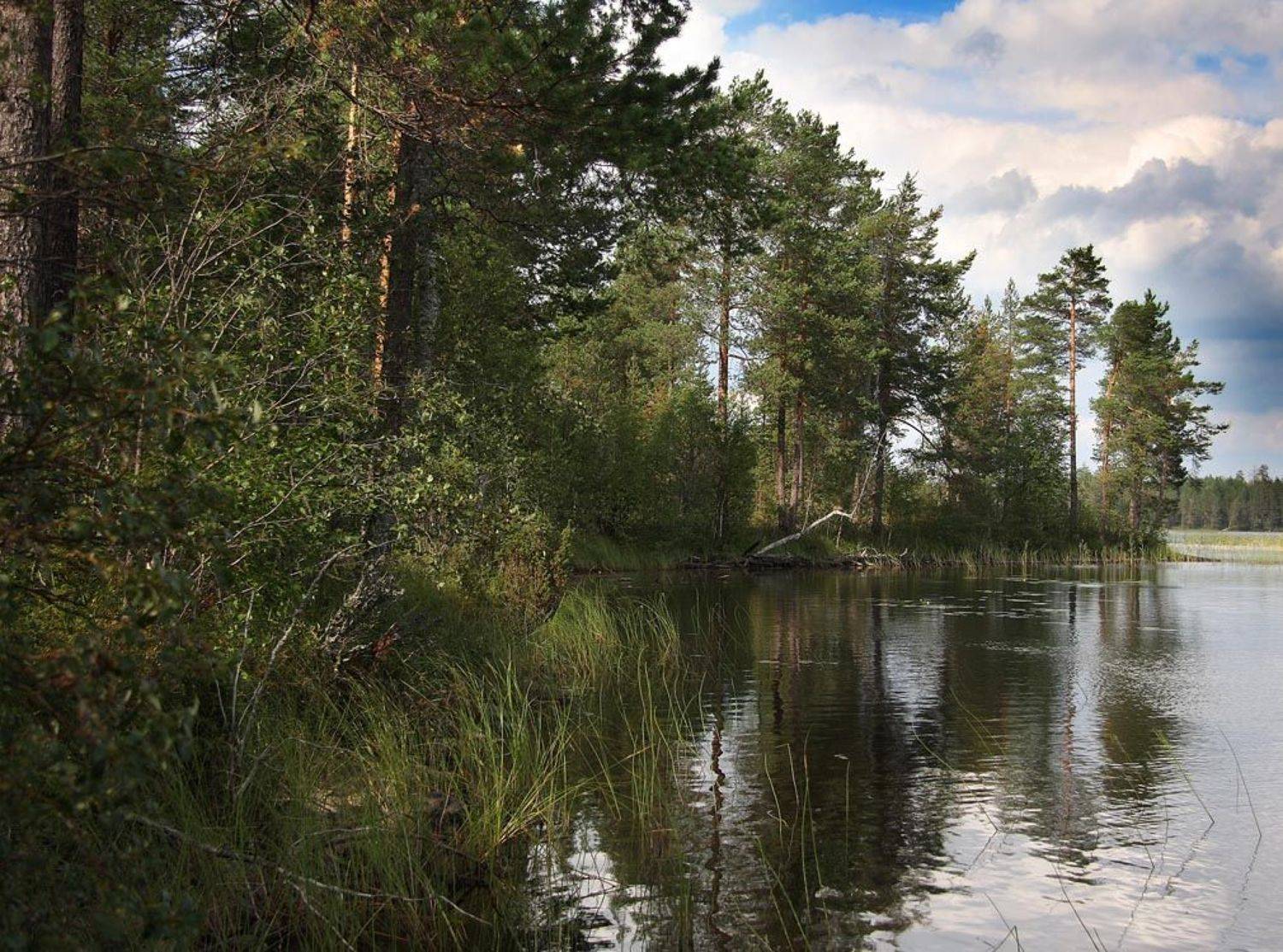 , Александр Коротков