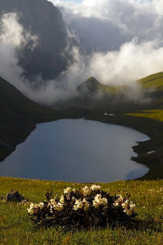 Кяфар фото превью