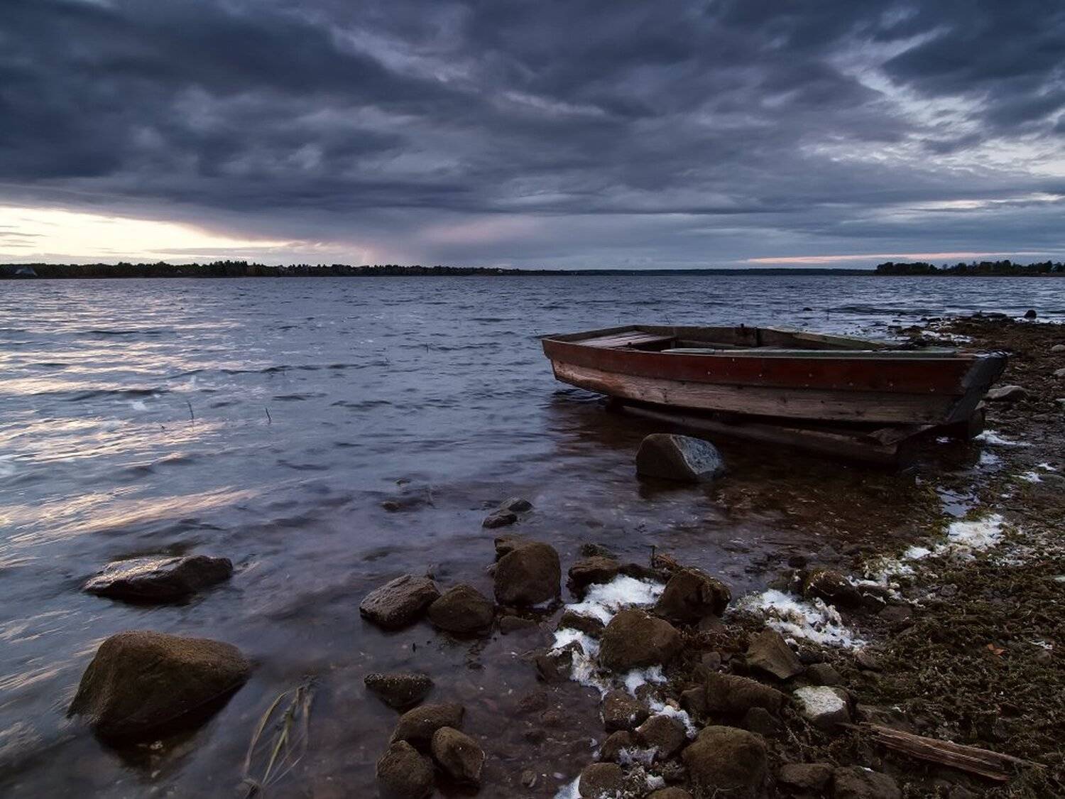 , Максим Евдокимов