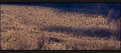 Идущие по Тропе, Навстречу Сумеркам