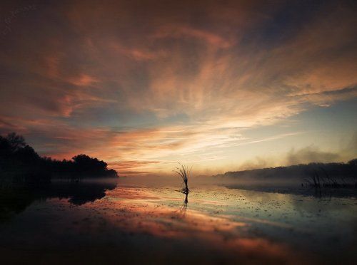 Собирая тишину.