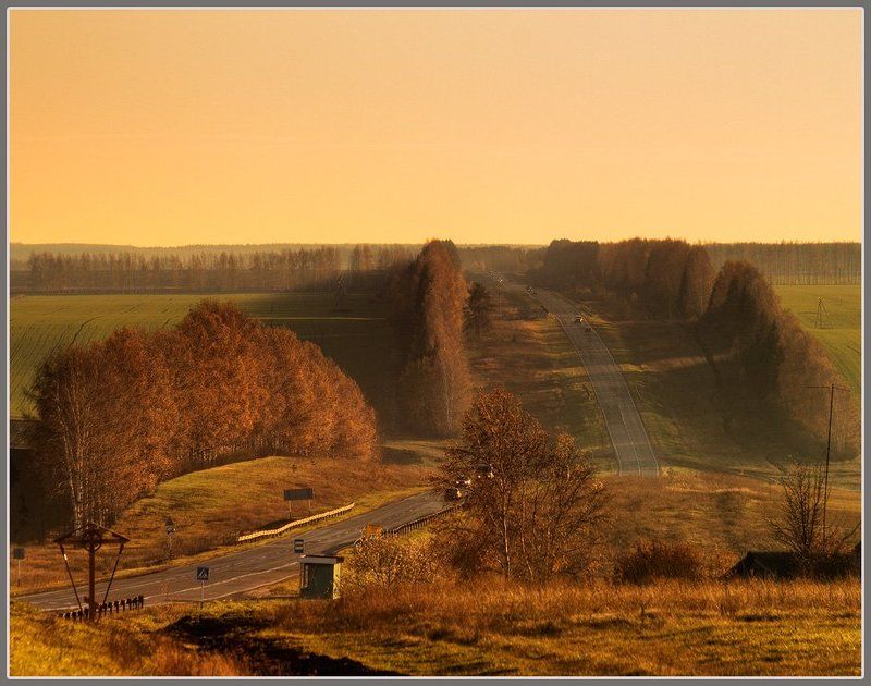 Дорога домой. фото превью