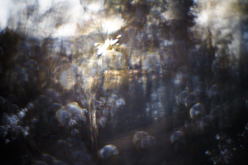 монокль, иней, трава, солнце Всякое дыхание... [3] фото превью