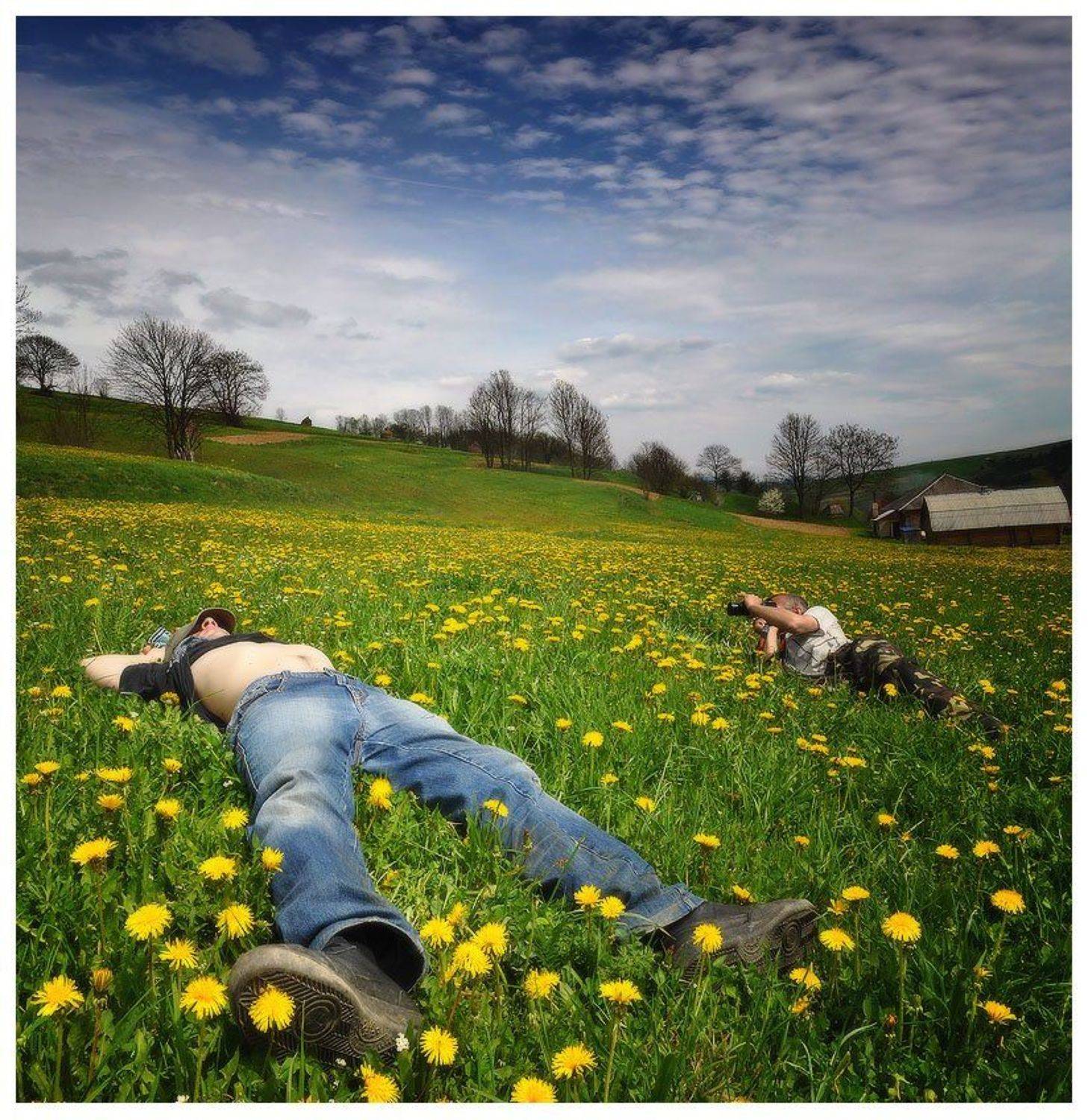 , Денис Кривой