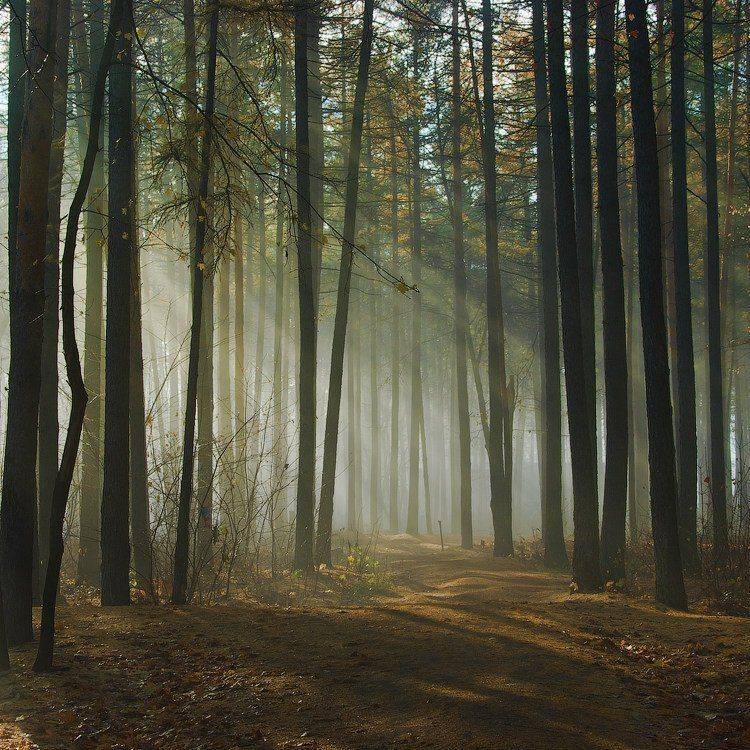 , Andrew (a-never) Nitsenko