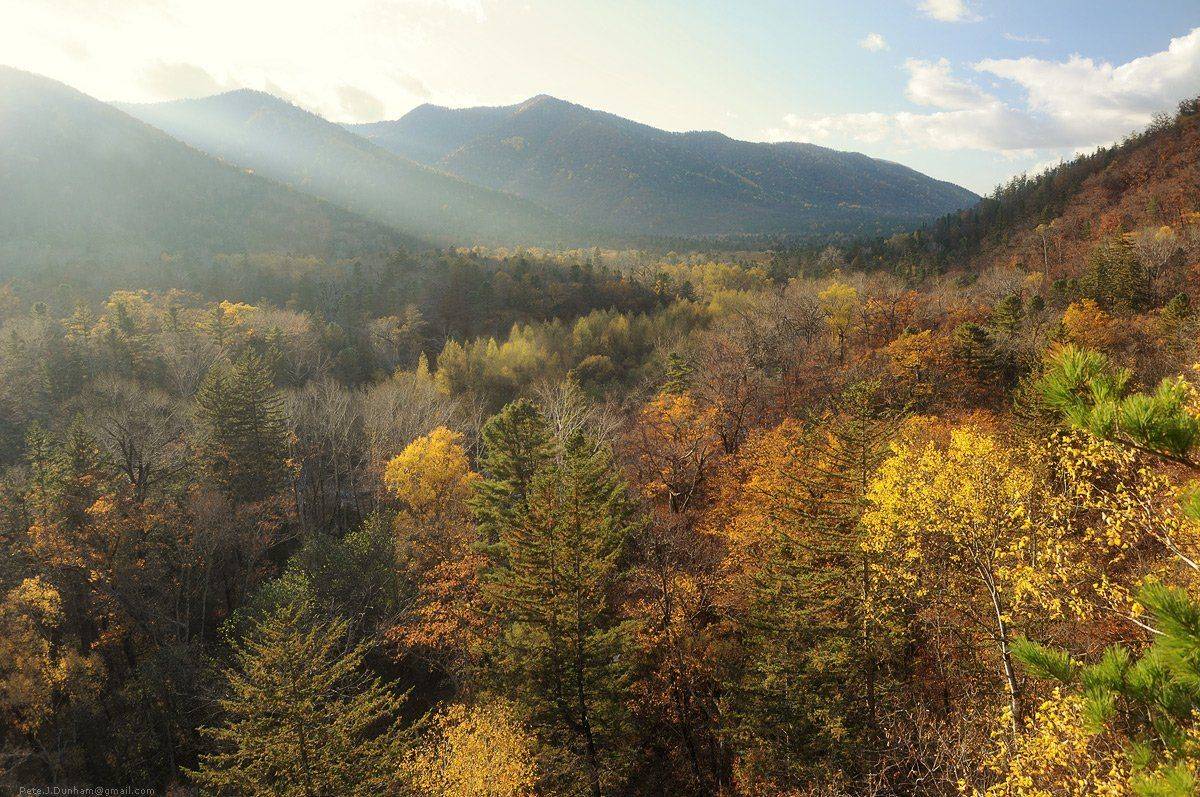 река, ван-чин, милоградовка, приморье, сихотэ-алинь, тайга, лес, осень, вечер, небо, свет, лучи, долина, падь, Александр Коновалов