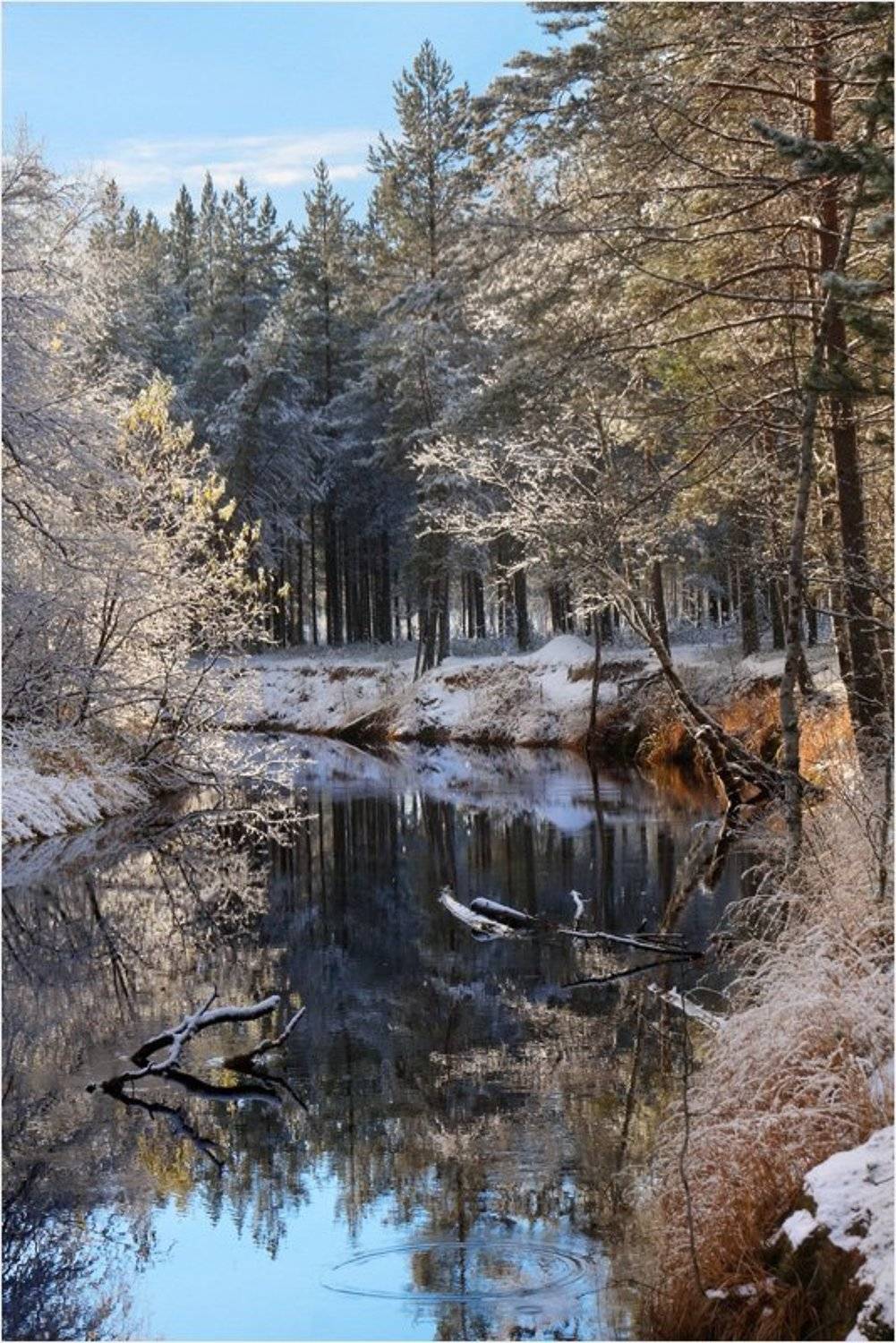 осень, зима, Илья Бармин