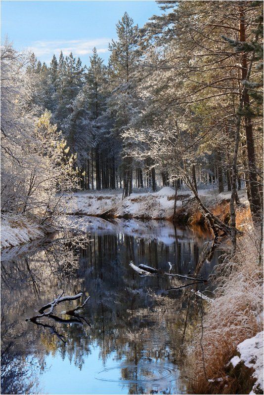 осень, зима Дыхание зимы фото превью