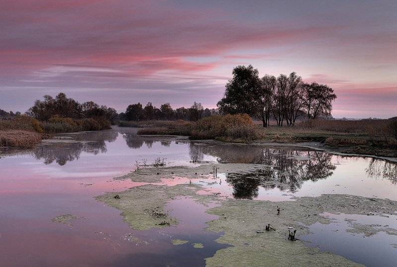 утро, река, Александр