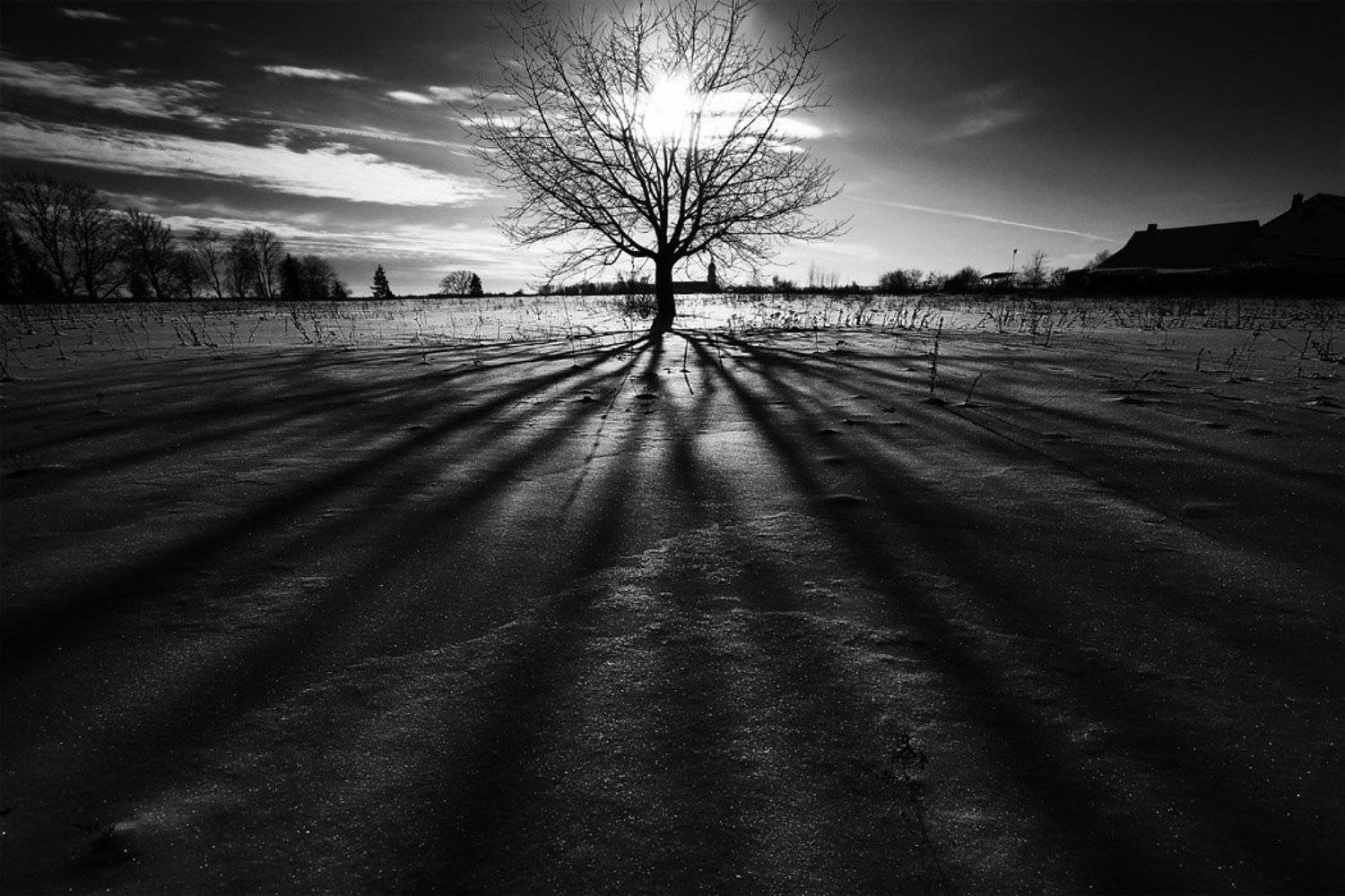 пейзаж, природа, Airidas