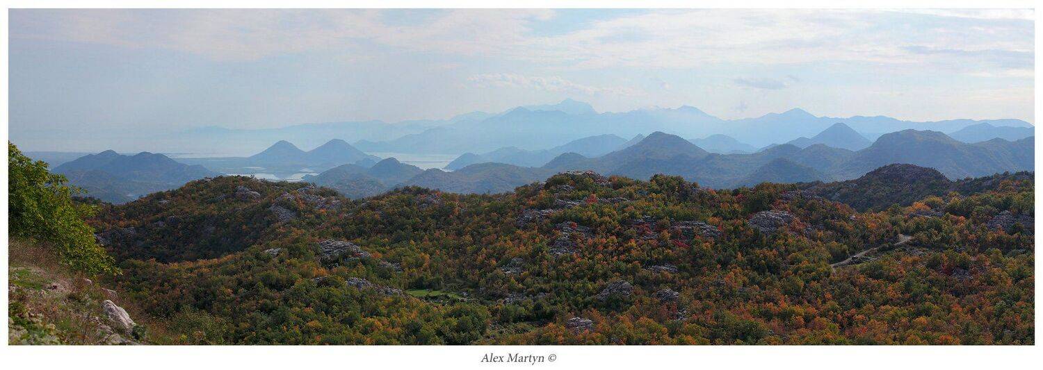 скадарское, озеро, черногория, Alexander Martynov