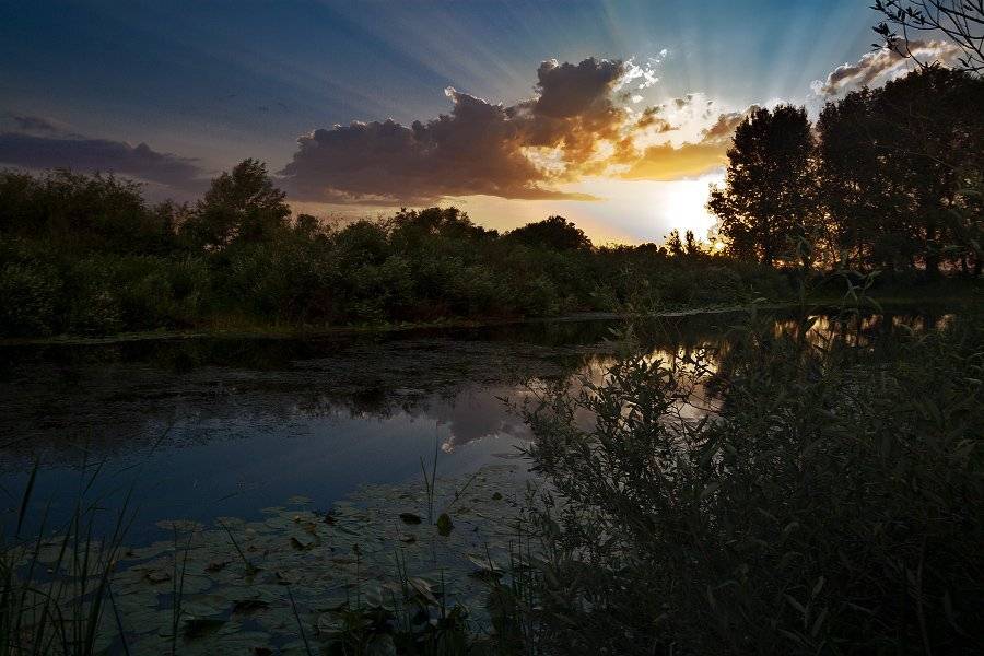 , Kuchkai_murza