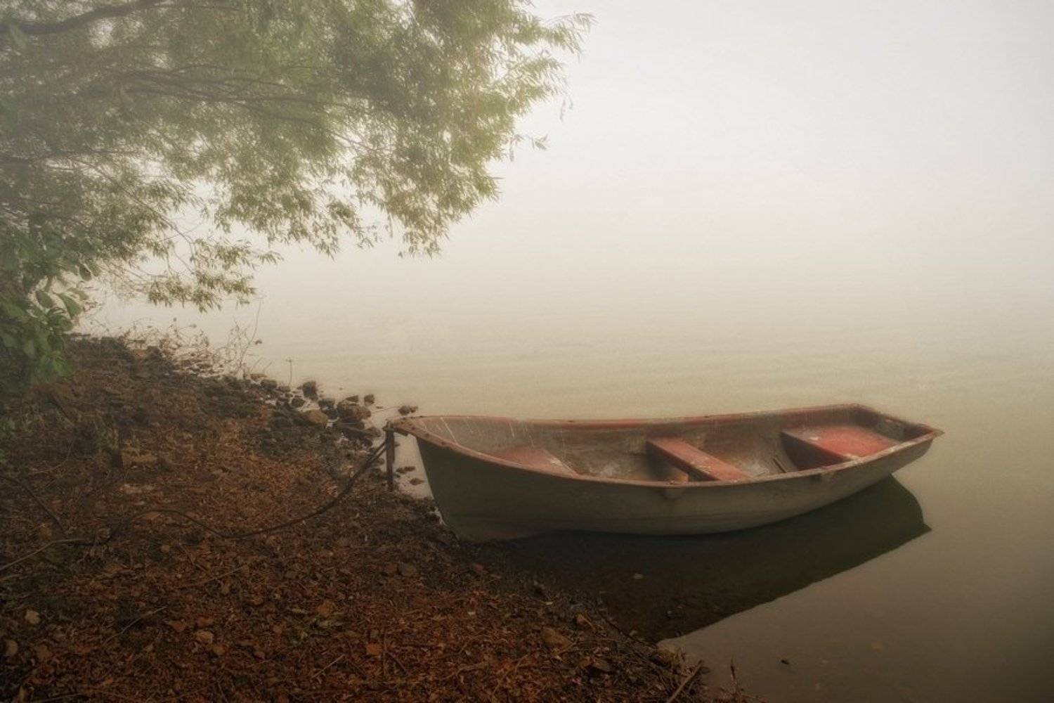 , Александр Виноградов