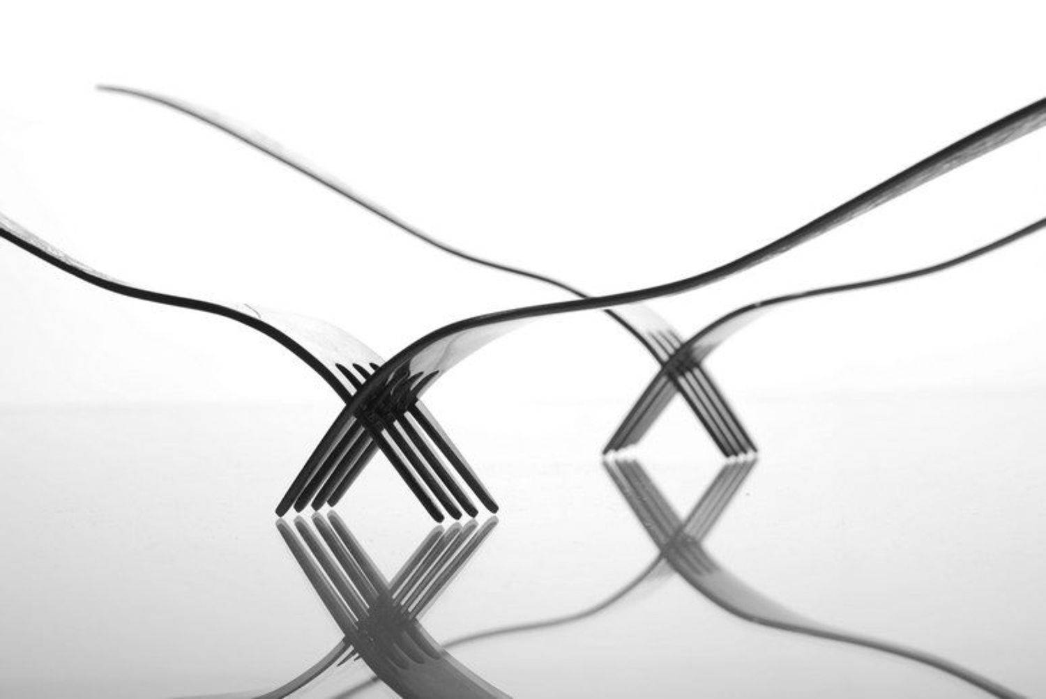 вилки, лебеди, Евгений Ёлкин