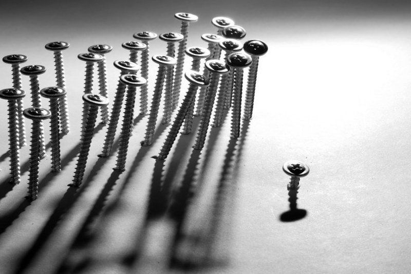 шурупы, общество Один в поле не воин фото превью