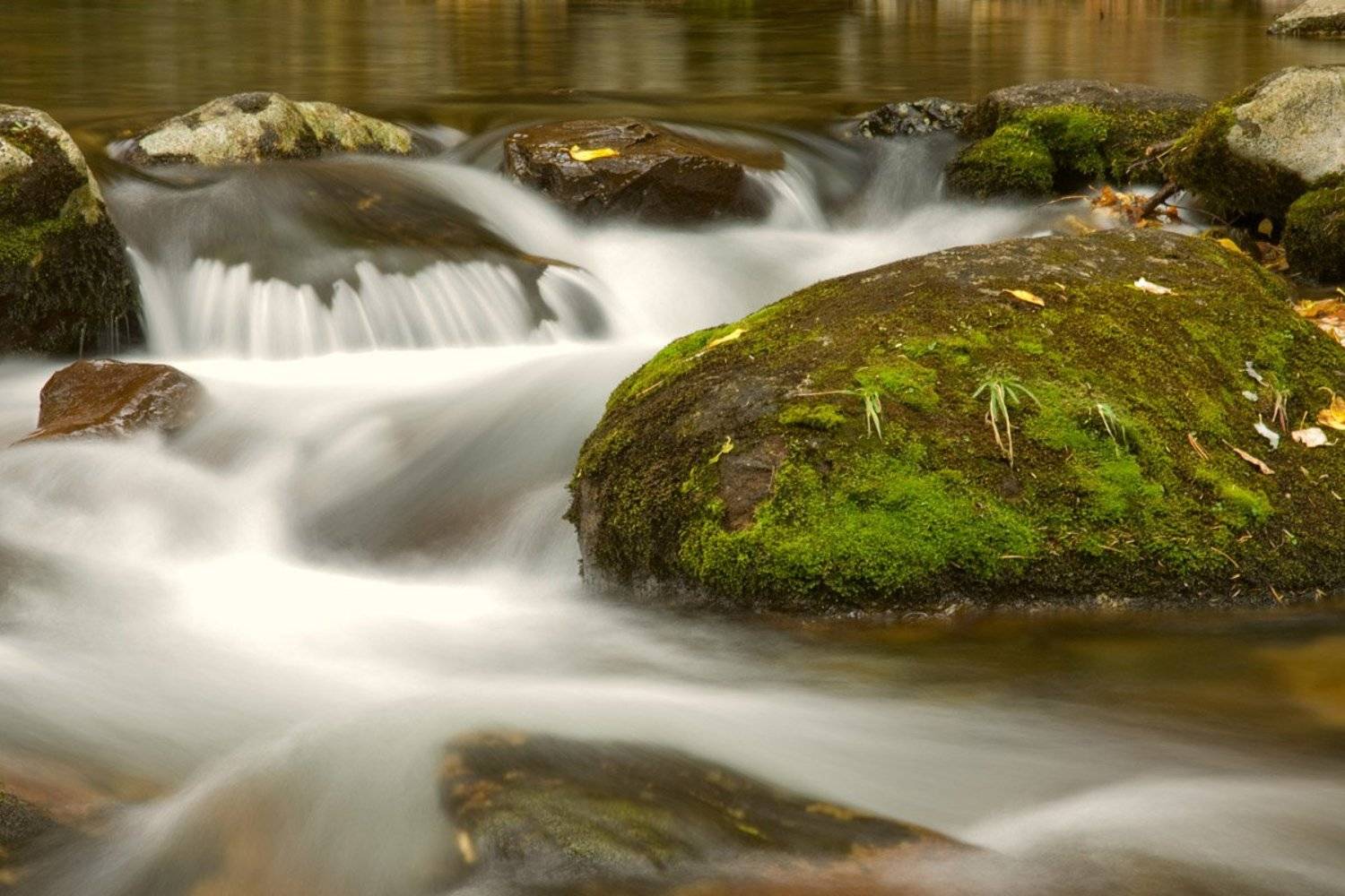 приморье, пидан, зовут, домой, Ольга Шуть