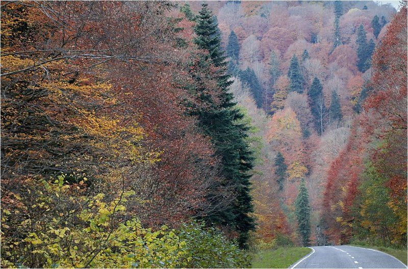 Осень в горах 1 фото превью