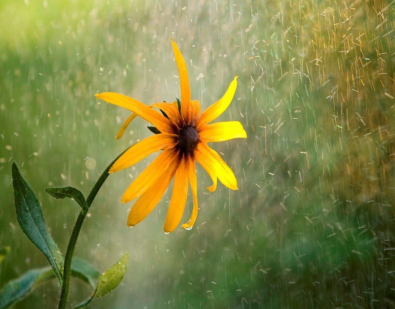 летний душ фото превью