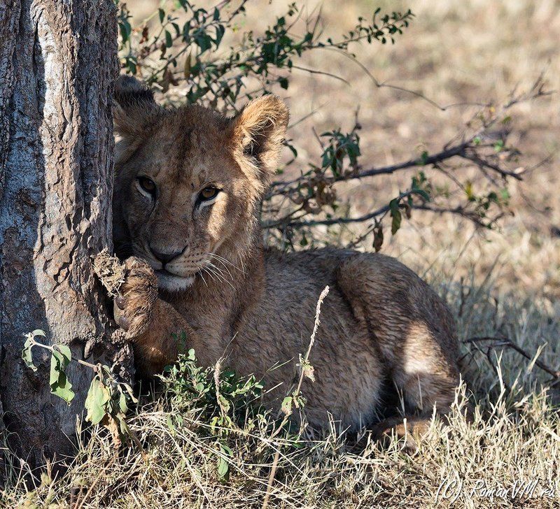 Одиночество. фото превью