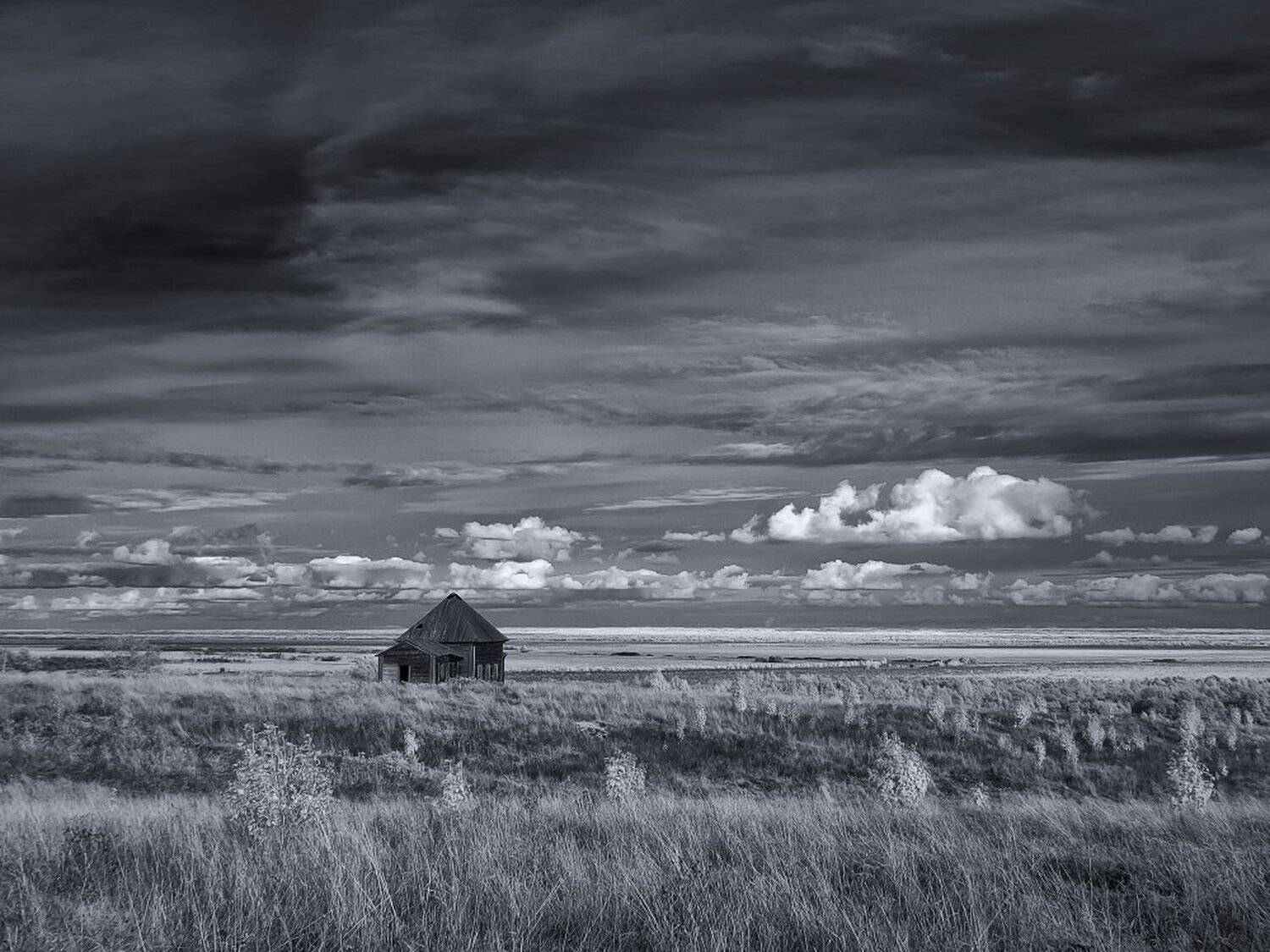 , Максим Евдокимов