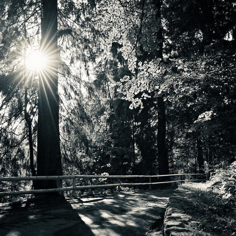 * фото превью