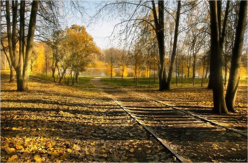 Осенние зарисовки фото превью