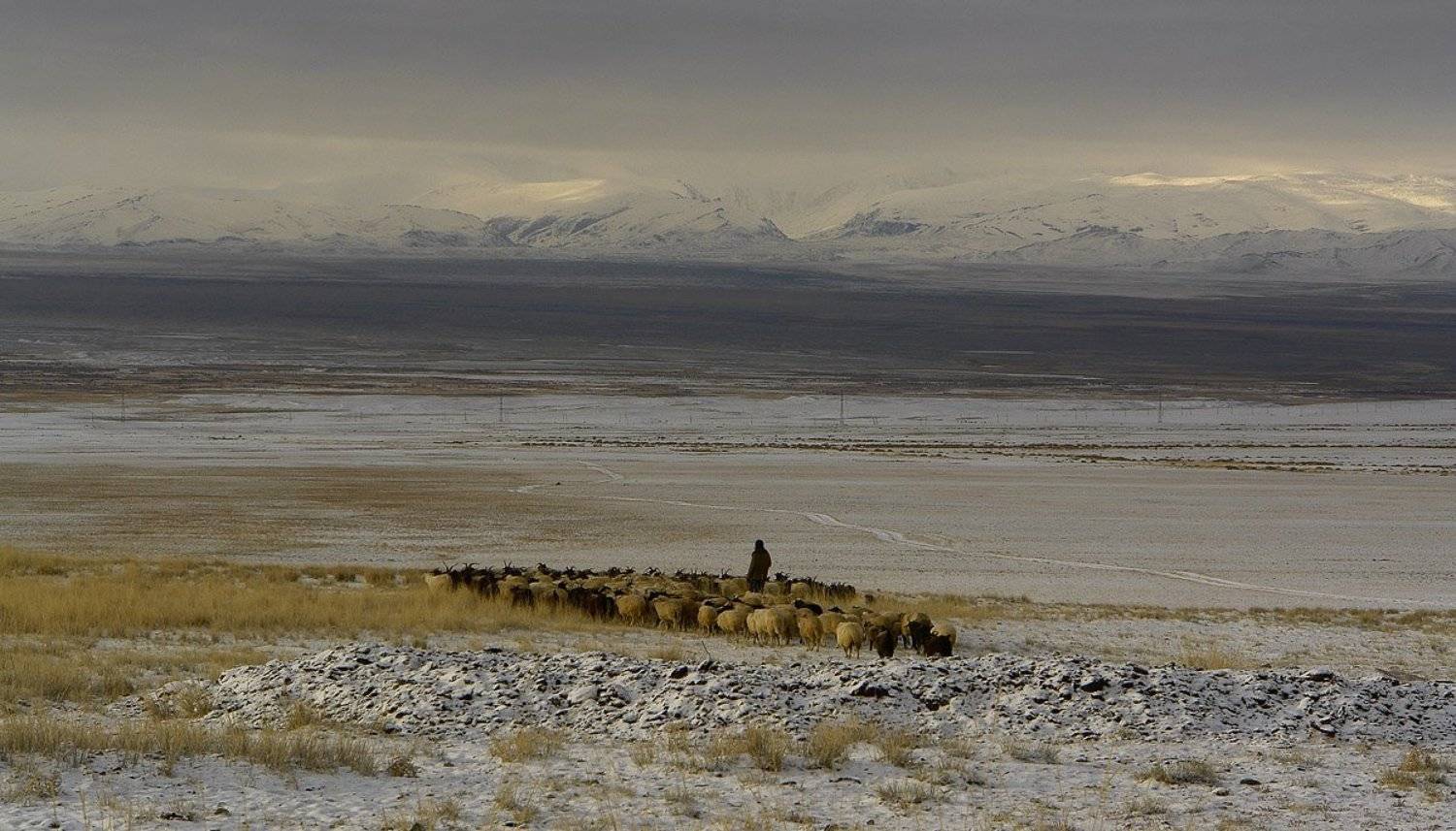 горный, алтай, Наталья Кайзер