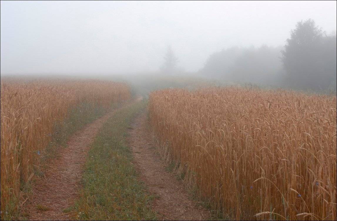 , Вадим Никифоров