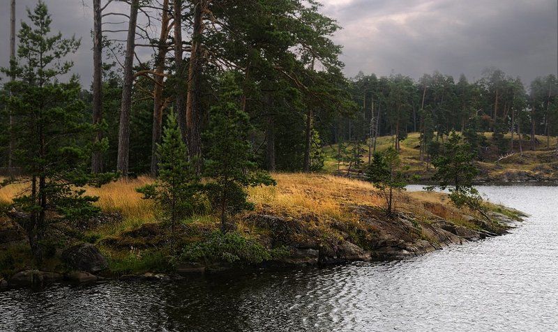 остров, валаам, берег, озеро, небо, сосны, , ладога Остров Валаам фото превью