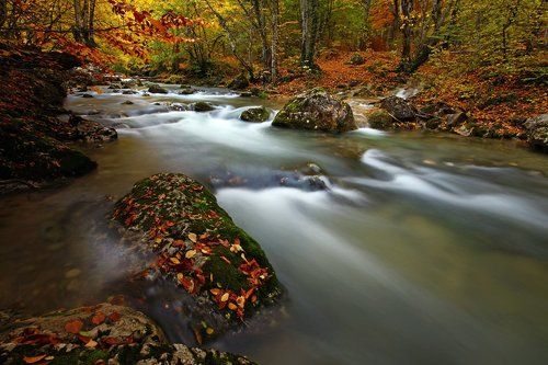 Осенний наряд.