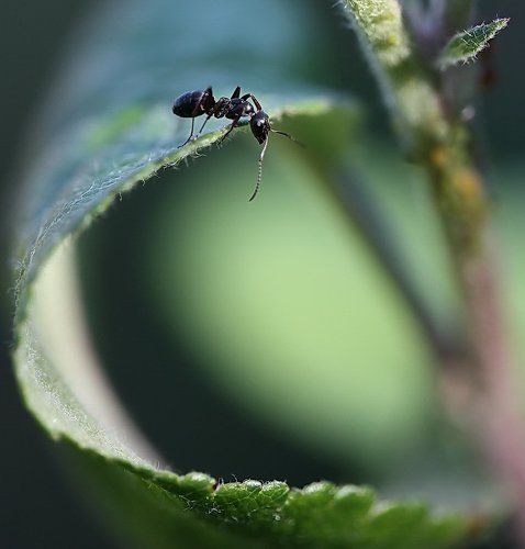 Поднять паруса