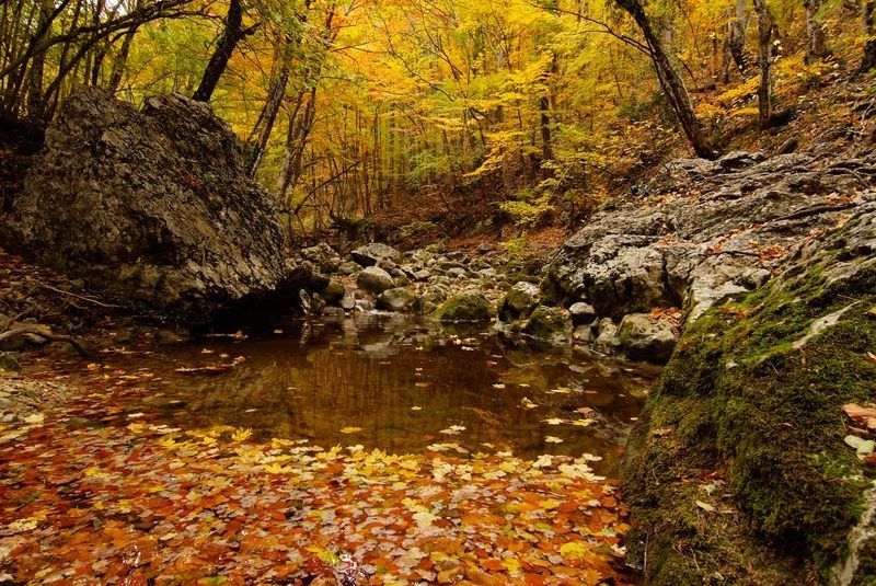 золото Крыма фото превью