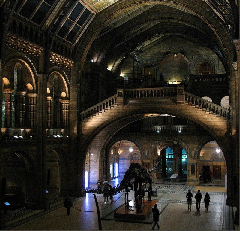 Ночь в музее фото превью