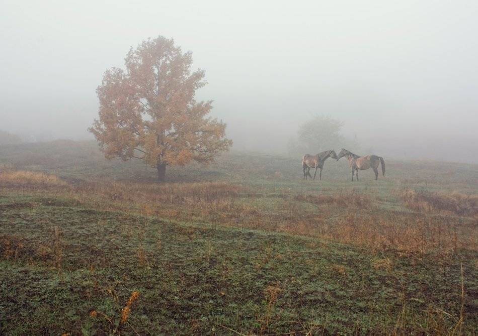 , Александр