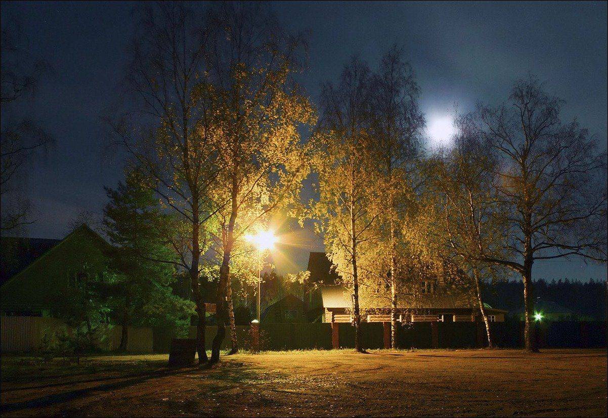 осень, утро, деревня, соколово, Валерий Иванович