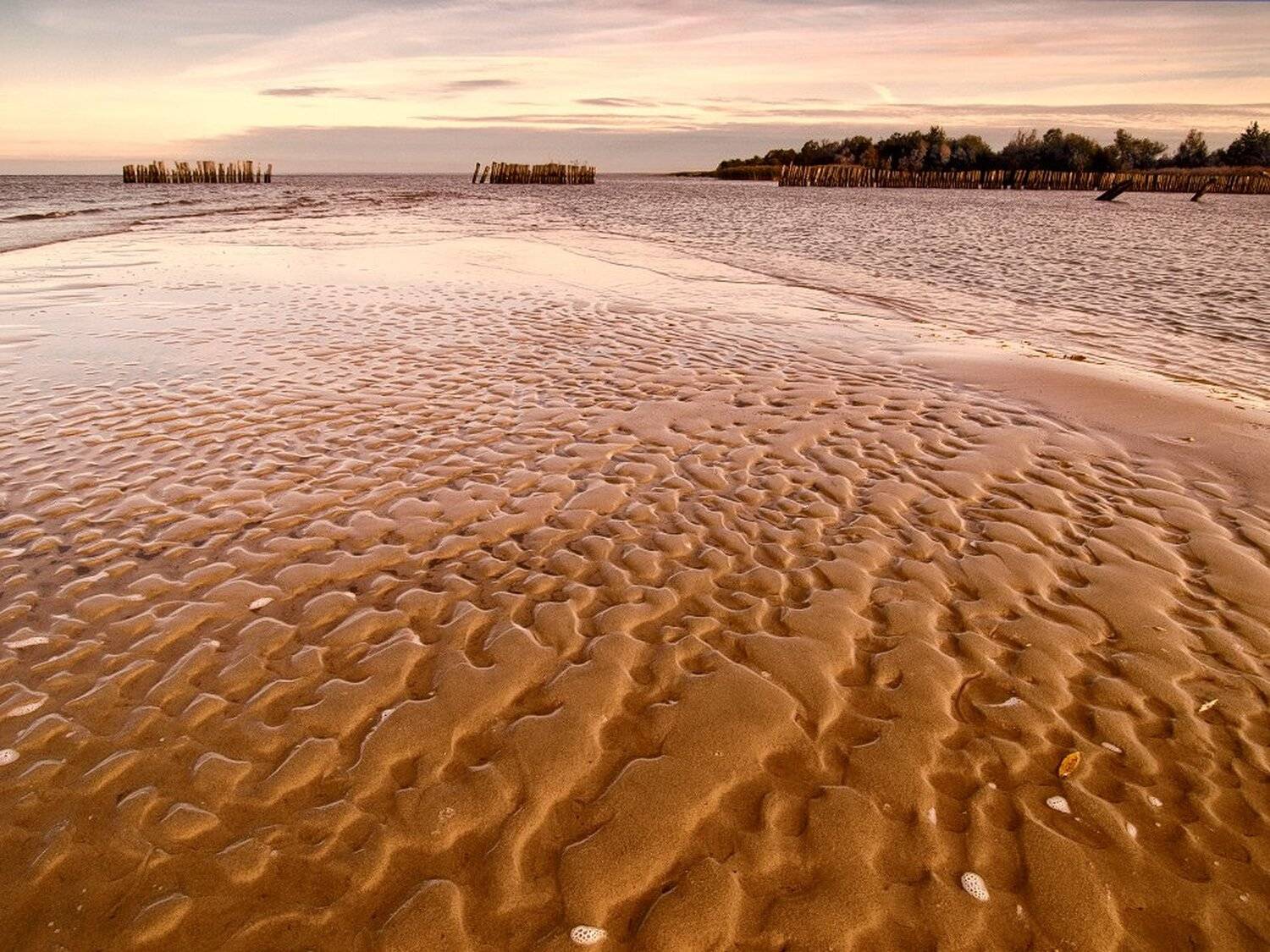 , Максим Евдокимов