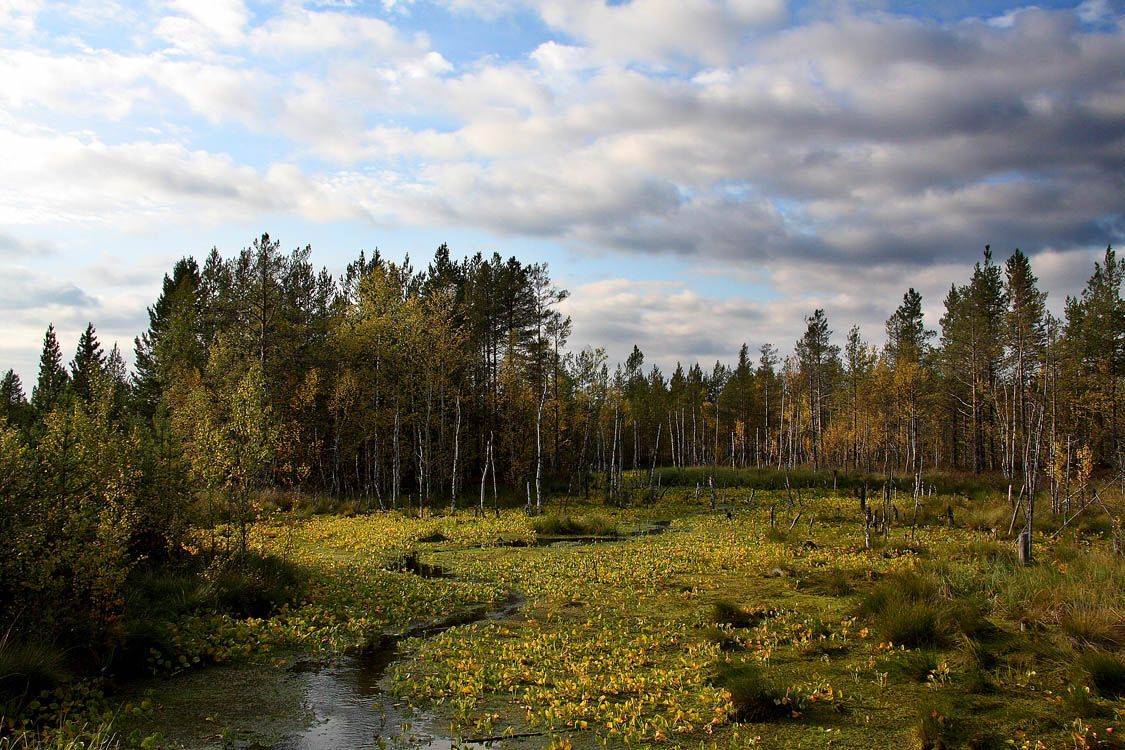 , Александр Коротков