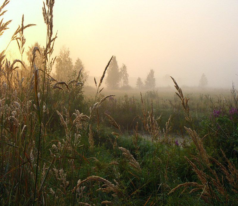 ********** фото превью