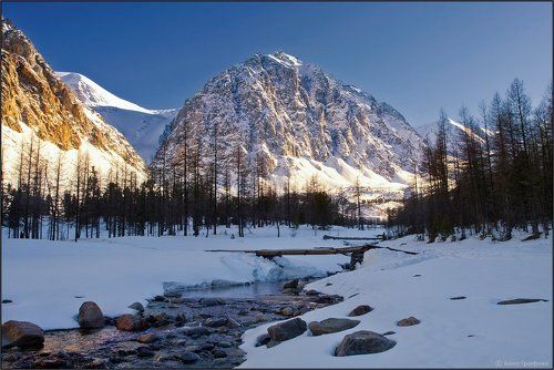 Весенний вечер в долине Актру