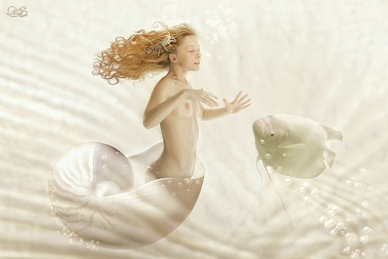 тайны неонаутилуса фото превью