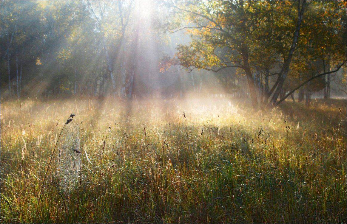 , Вадим Никифоров